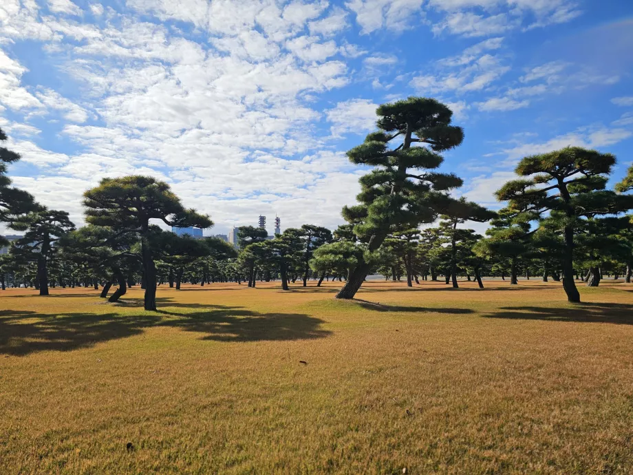 Jardin national de Kokyo Gaien
