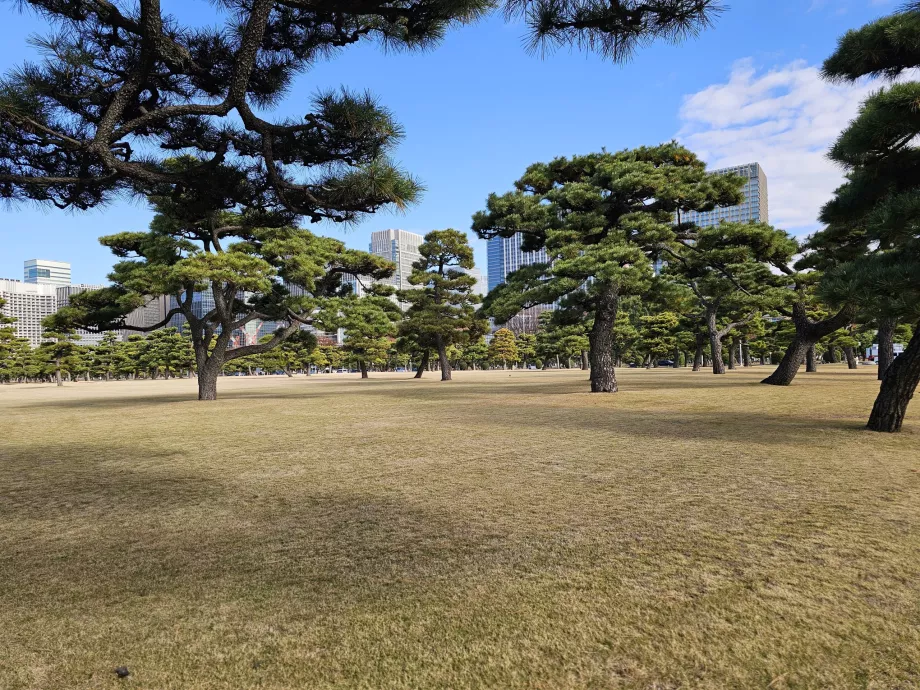 Jardin national de Kokyo Gaien
