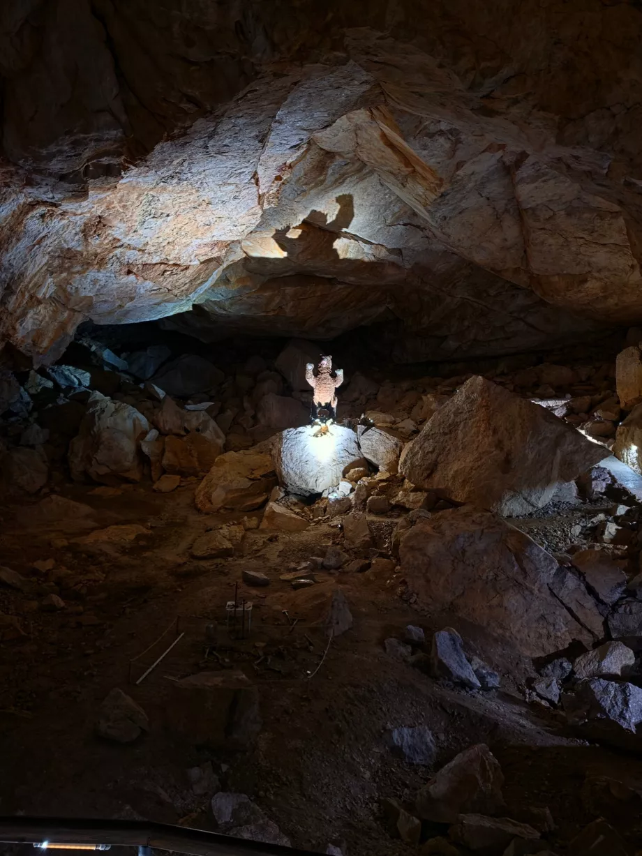 Maquette d'un ours des cavernes