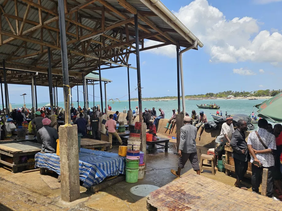 Marché aux poissons de Ferry