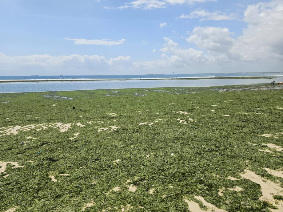 Plage de Coco