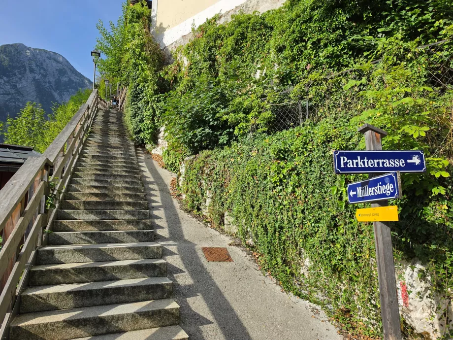 Escaliers : le début du sentier menant au Salzberg