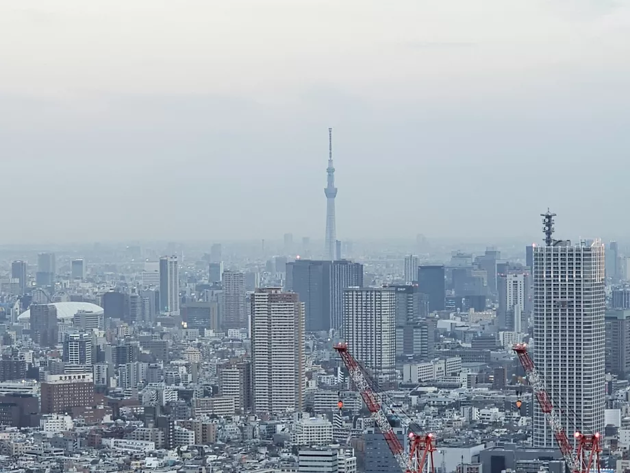 Bâtiment du gouvernement métropolitain de Tokyo