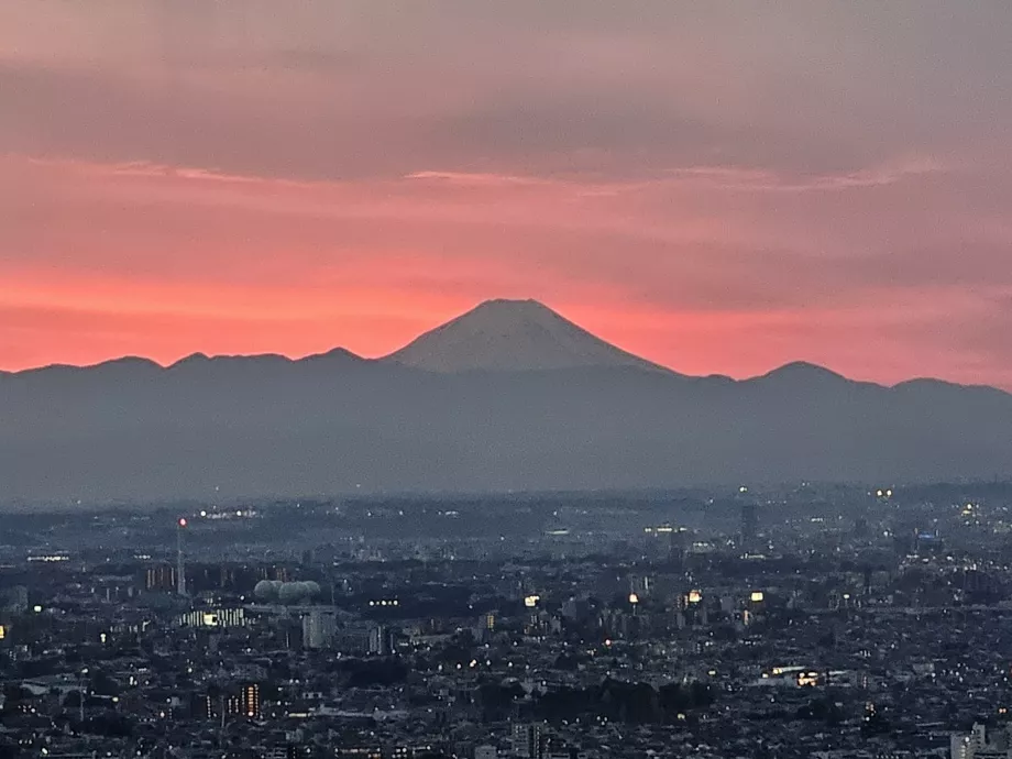 Mont Fuji depuis le bâtiment du gouvernement métropolitain de Tokyo
