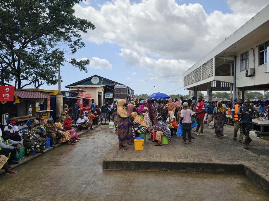 Marché aux poissons de Ferry