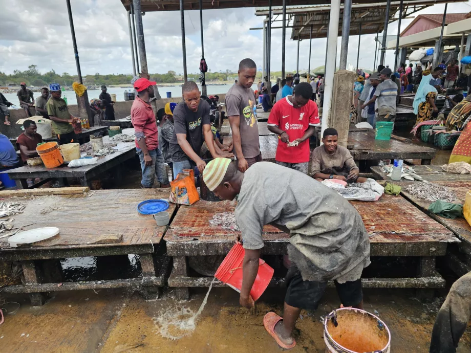 Marché aux poissons de Ferry