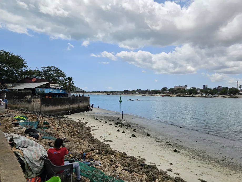 Promenade au marché aux poissons de Ferry
