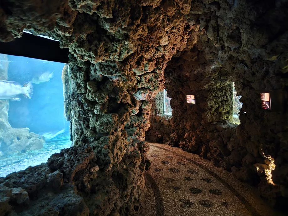 Aquarium de Rhodes