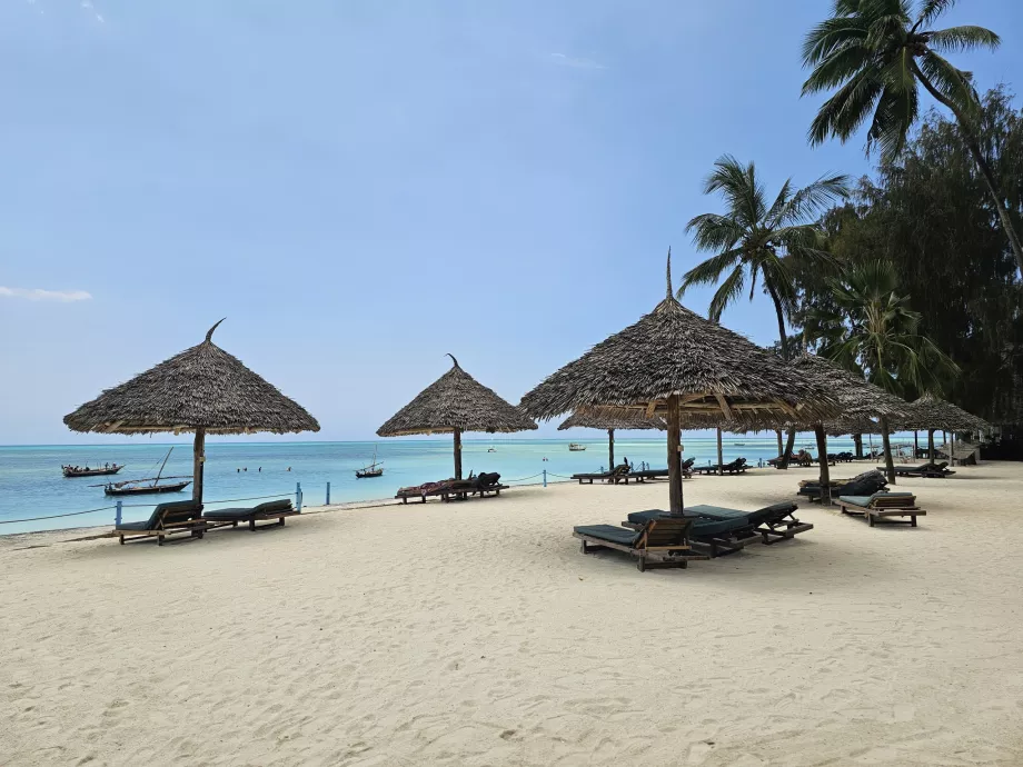 Chaises longues et parasols