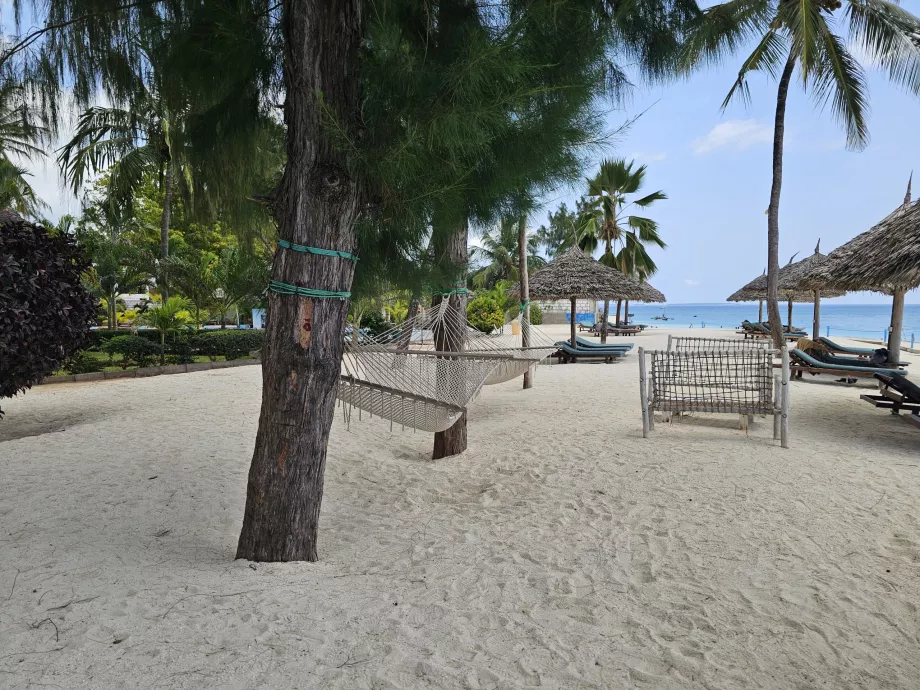 Chaises longues avec parasols