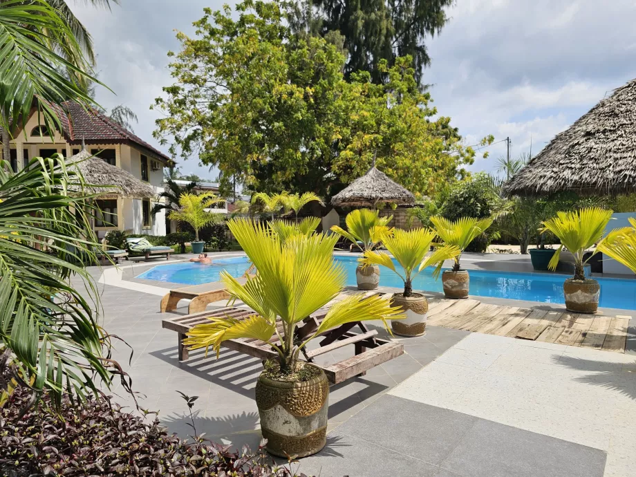 Piscine