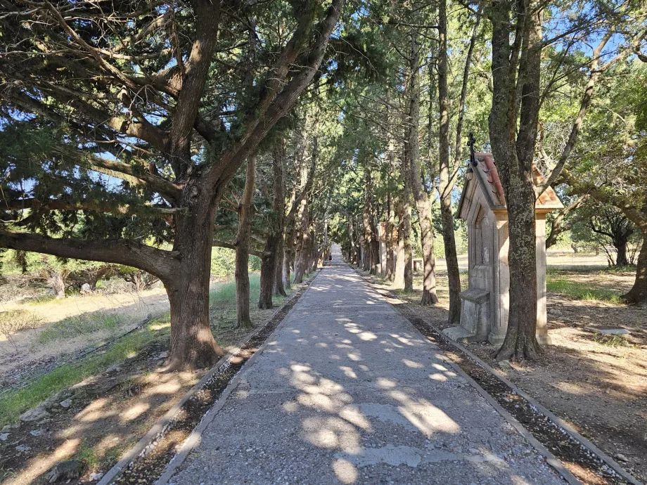 Allée Filerimos