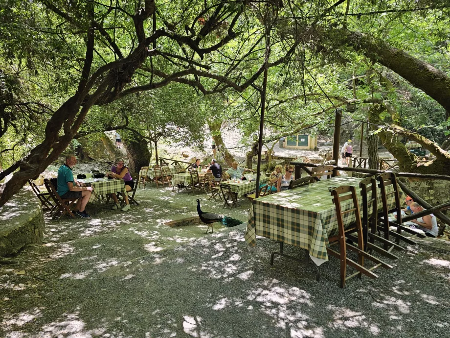 Restaurant au Seven Springs