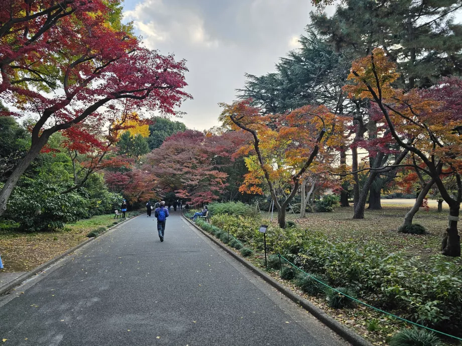 Jardin national de Shinjuku Gyoen