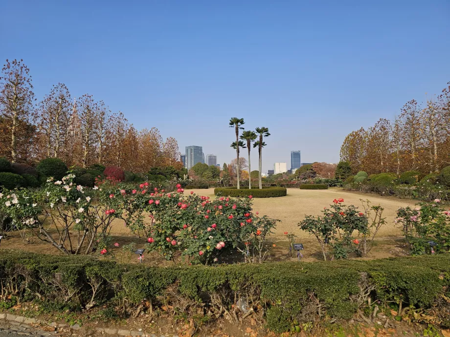 Jardin national de Shinjuku Gyoen
