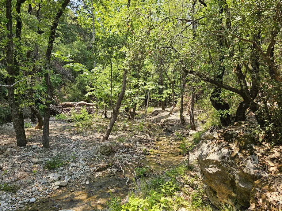 Vallée des papillons