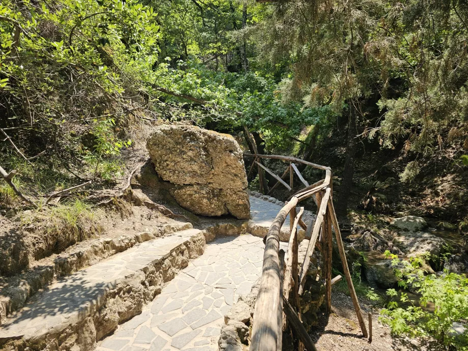 Vallée des papillons