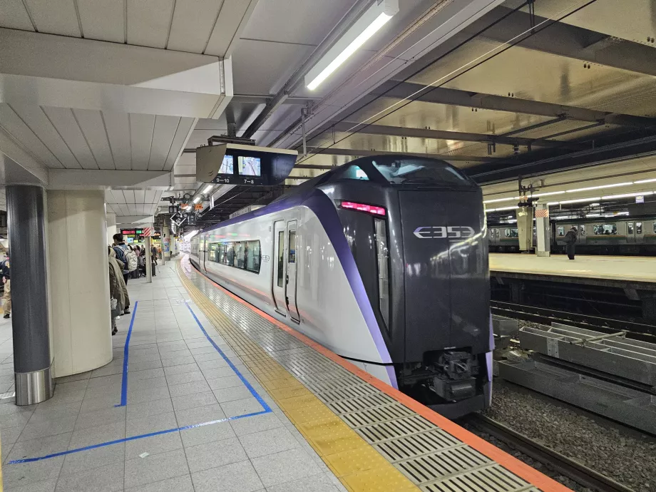 Train FUJI EXCURSION