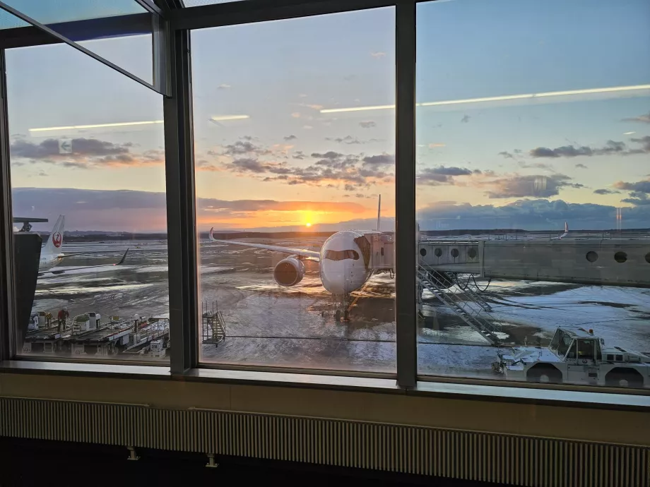 Vue de la zone aéroportuaire depuis la zone de transit
