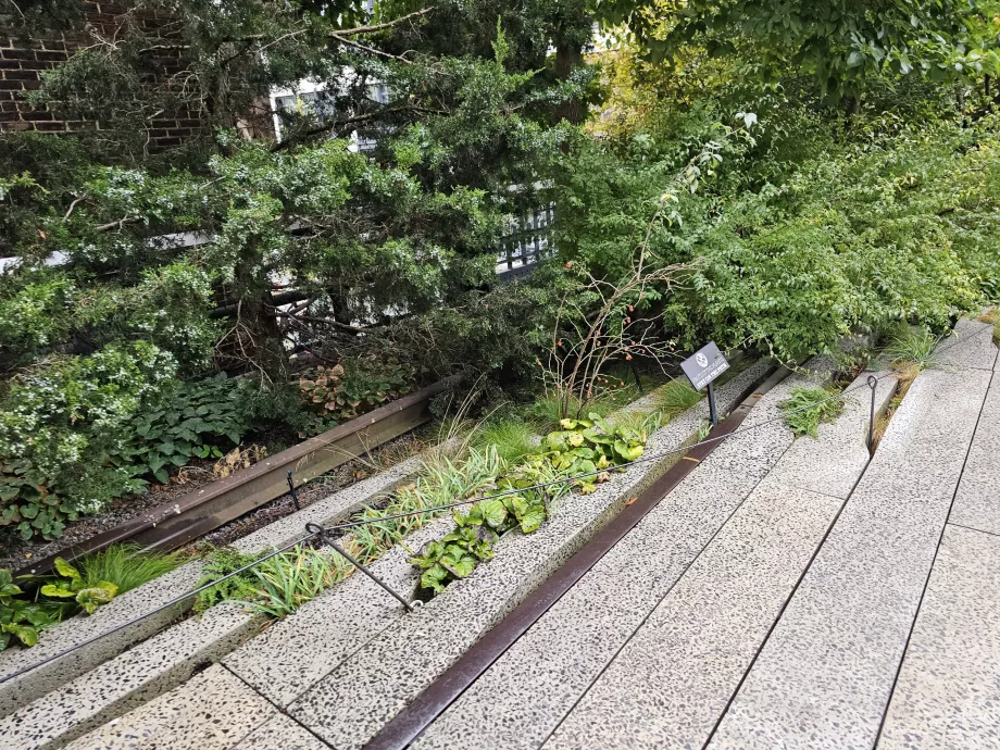 Ligne de démarcation