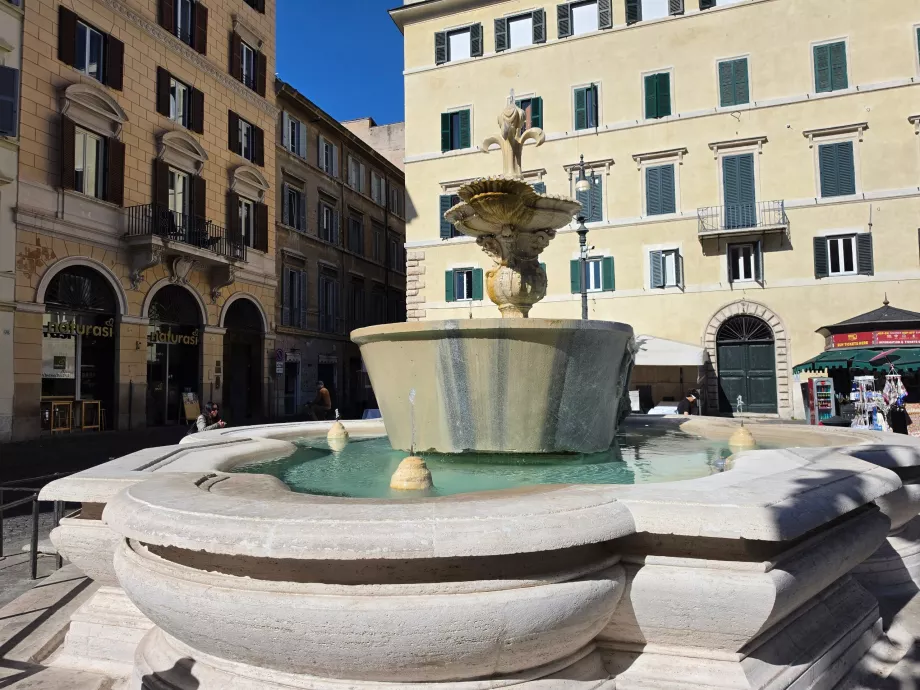 Campo de' Fiori, fontaine