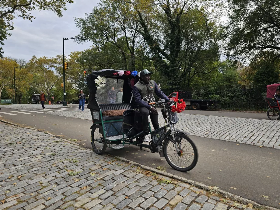 Rickshaw dans Central Park