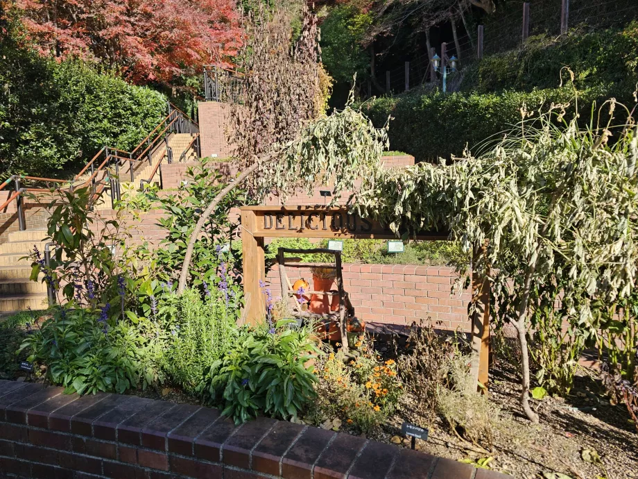 Jardins d'herbes aromatiques de Nunobiki