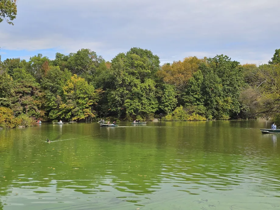 Lac dans Central Park