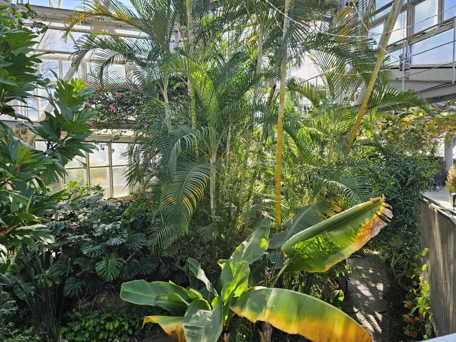 Serre des jardins d'herbes aromatiques de Nunobiki