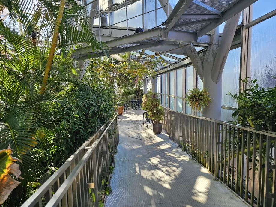 Serre des jardins d'herbes aromatiques de Nunobiki