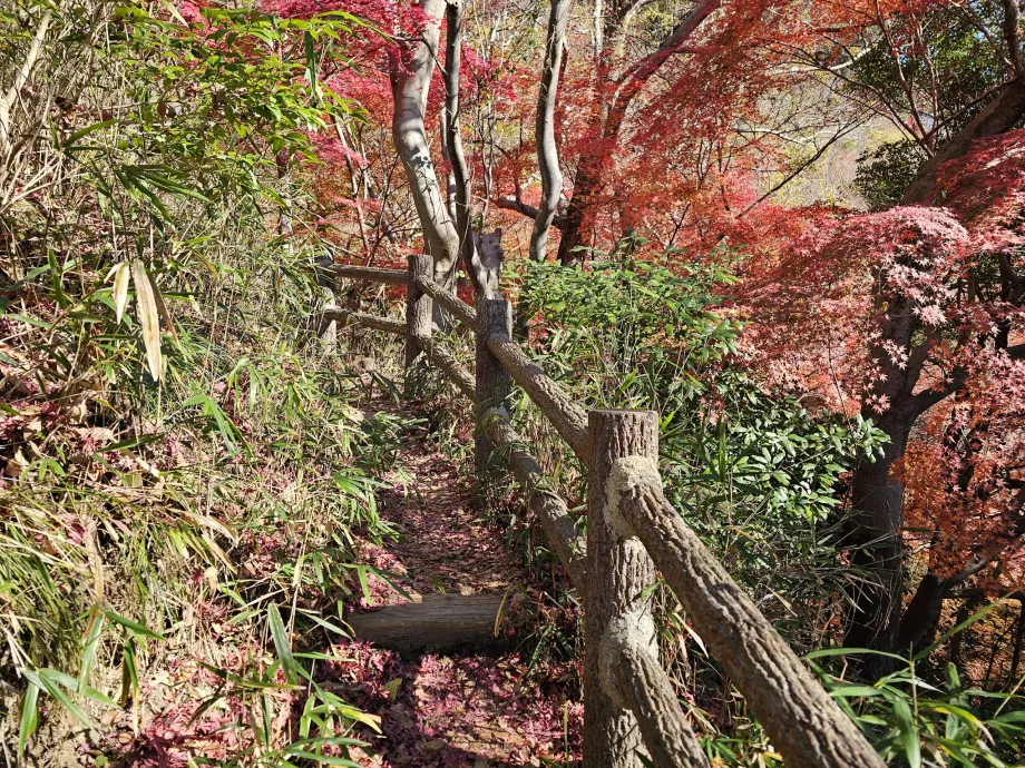 Sentier de randonnée jusqu'au barrage