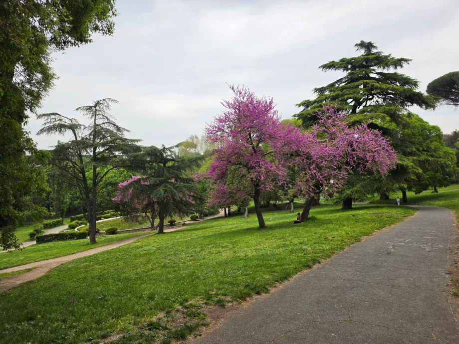 Parc Villa Borghese
