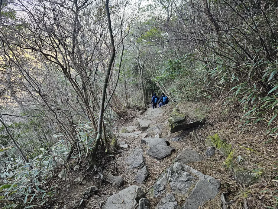 Sentier de randonnée dans les montagnes de Rokko