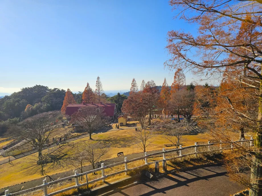 Pâturage de Rokkosan