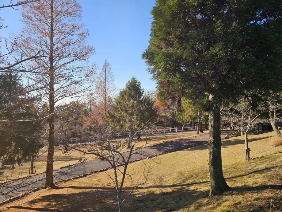 Pâturage de Rokkosan