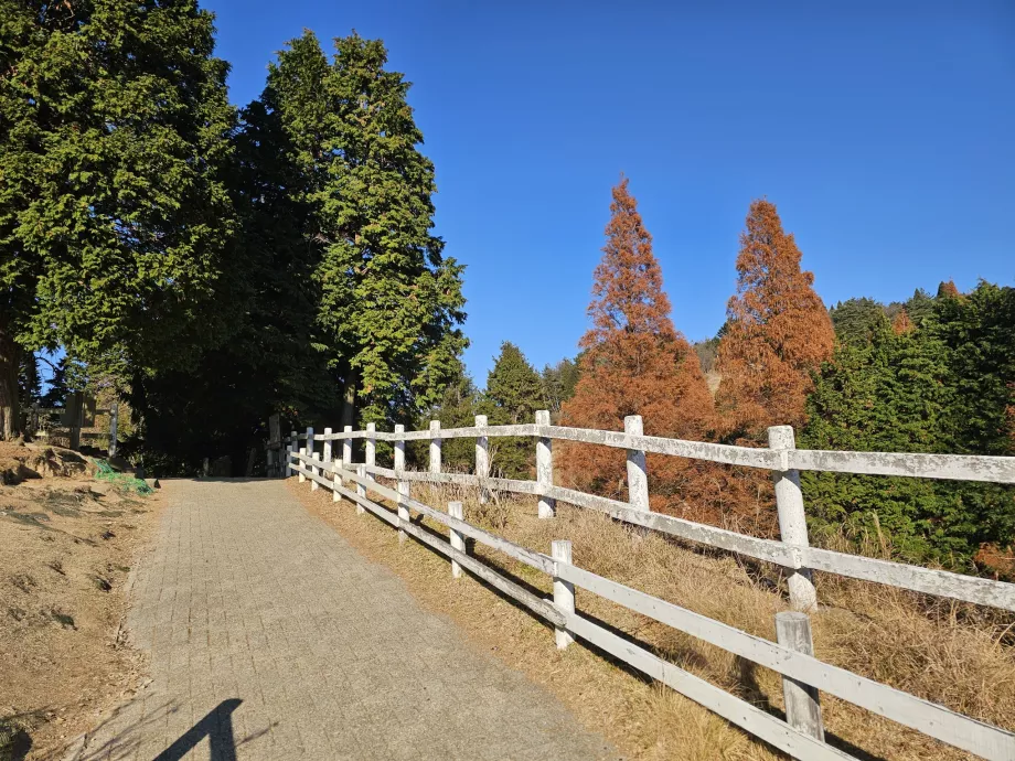 Pâturage de Rokkosan