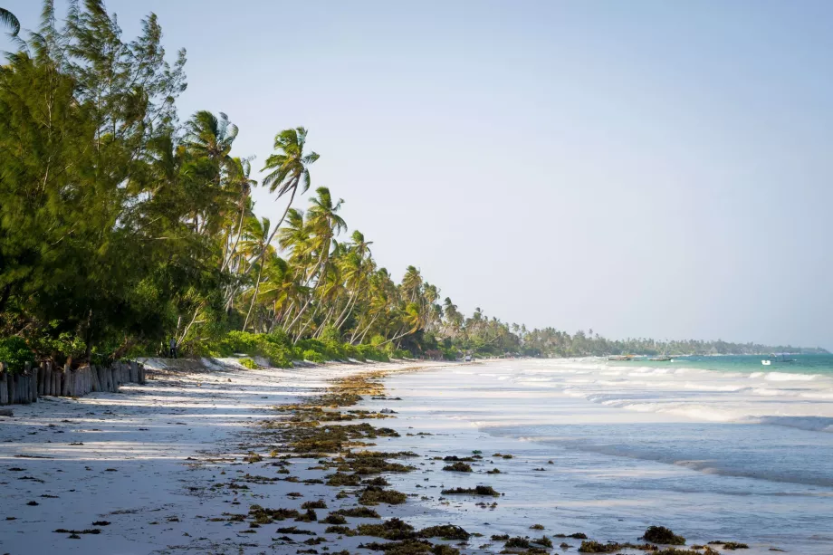Plage de Bwejuu