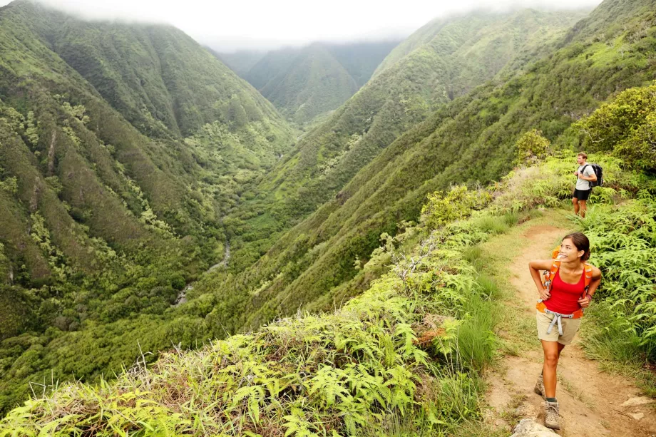 Sentier de la crête de Waihee