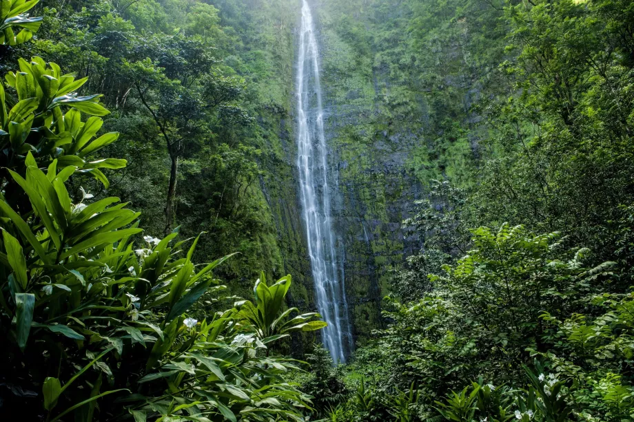 Chutes de Waimoku