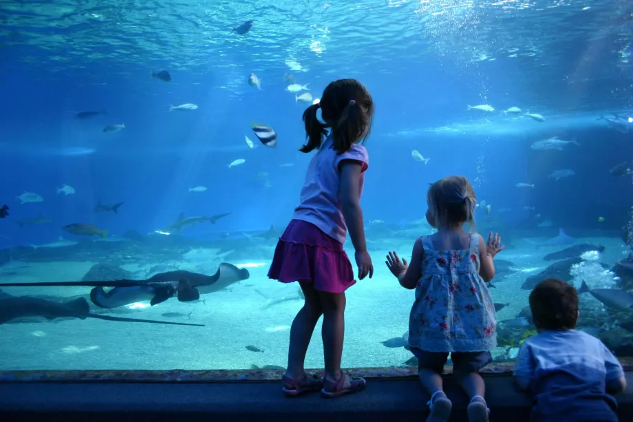 Centre océanique de Maui