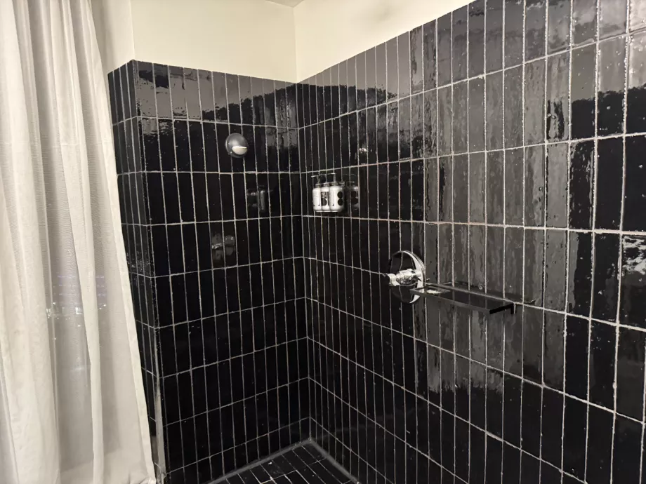 Douche de tête uniquement