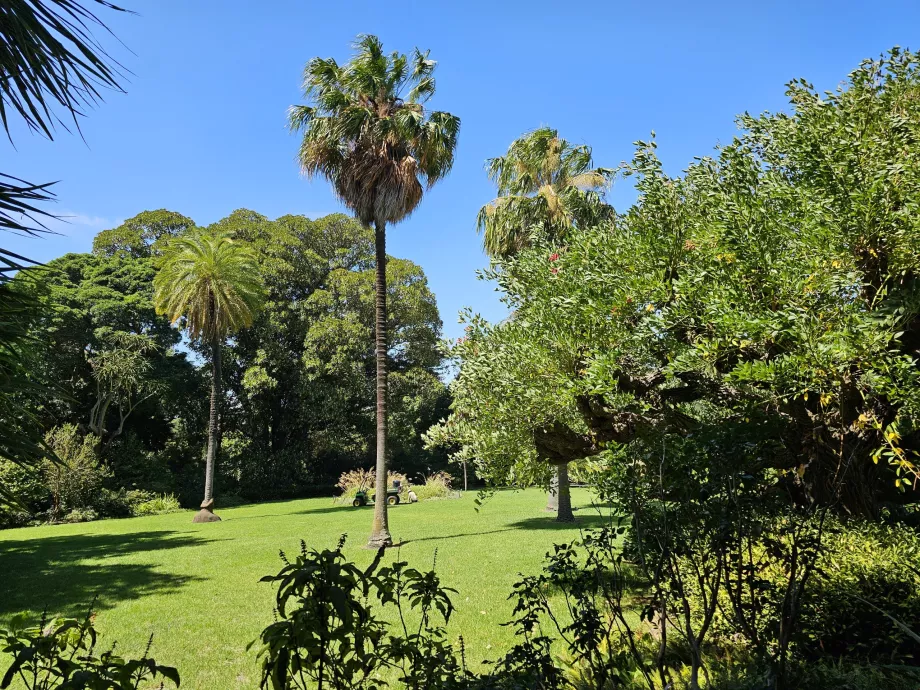Jardins botaniques royaux