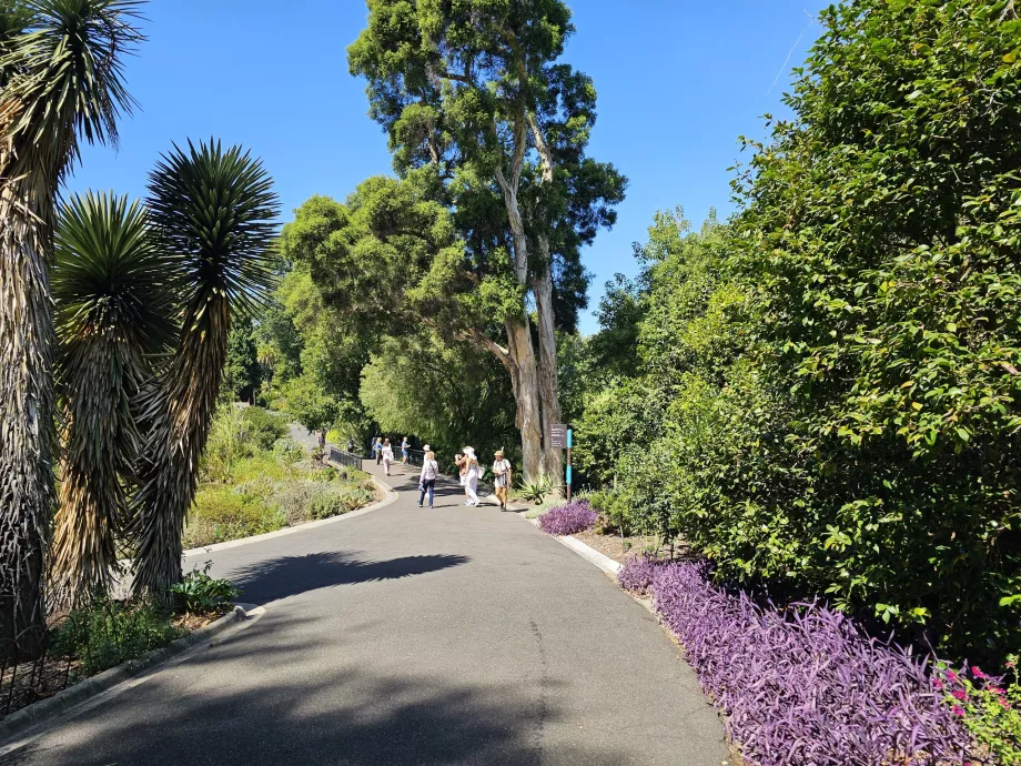Jardins botaniques royaux