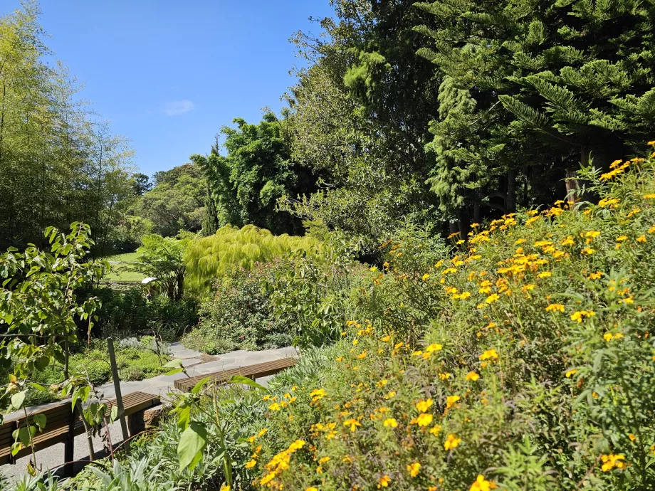 Jardins botaniques royaux