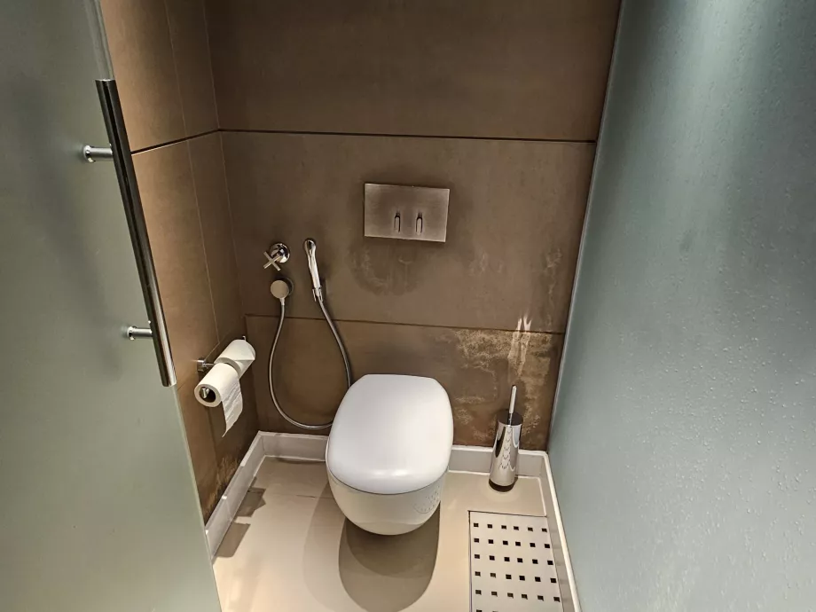 Toilette dans la chambre avec douche