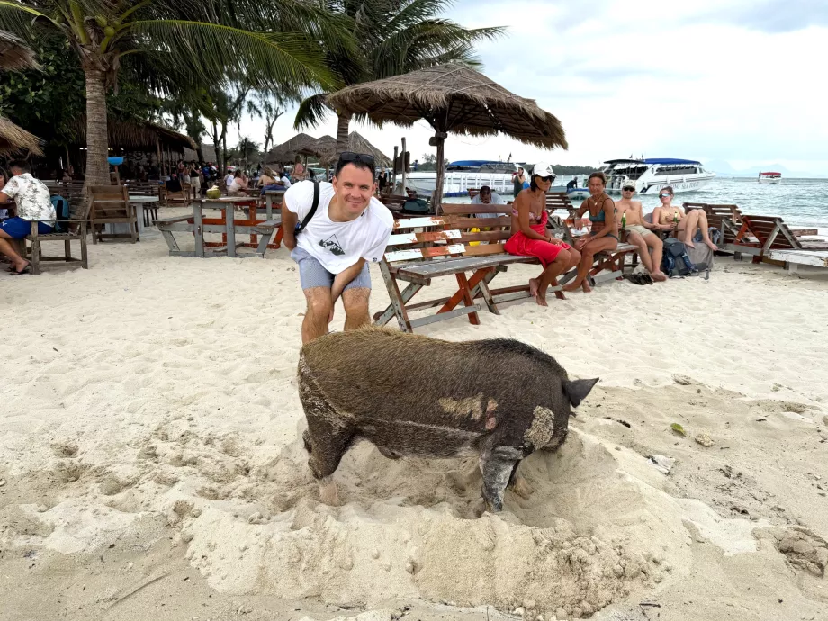 Moi sur l'île aux cochons