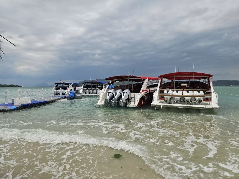 Bateaux touristiques sur Pig Island
